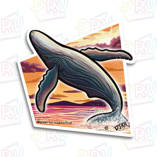 Ballena Rincón PR (Sticker)