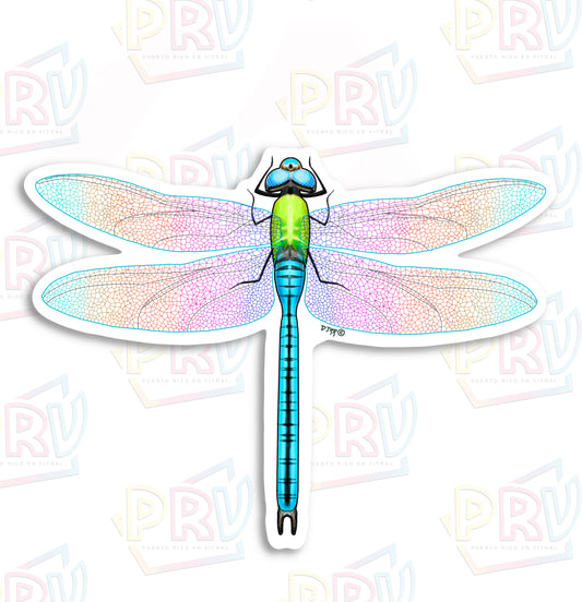 Libélula arcoíris (Dragonfly sticker)